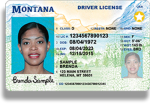 Issuing Agency For Drivers License